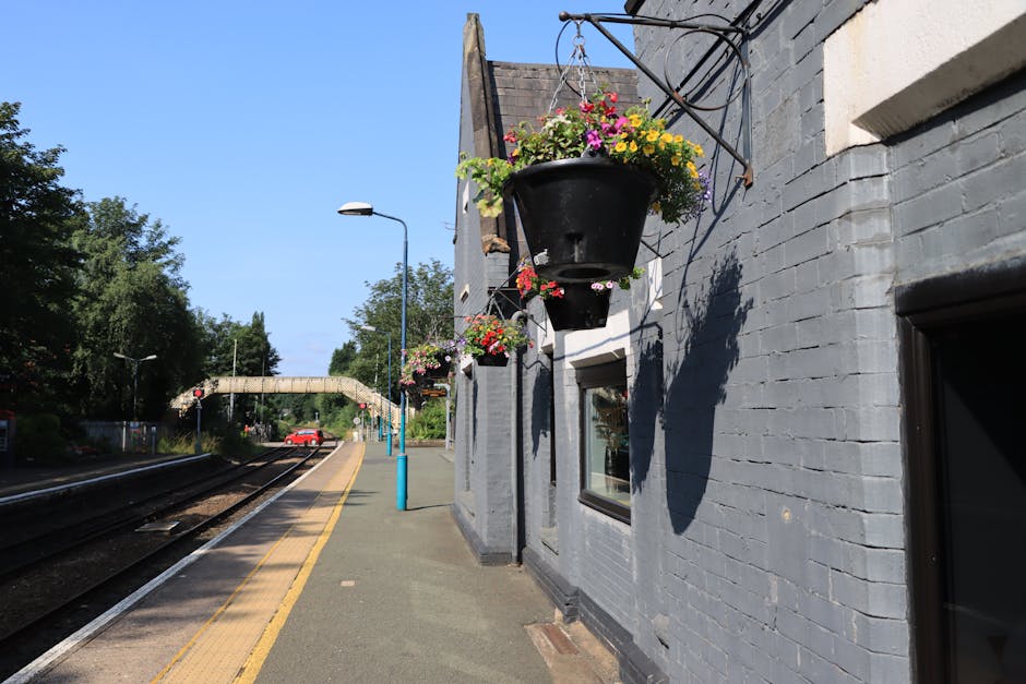 A view of Aldershot station platform bathed in bright sunlight, featuring a row of black hanging flower baskets filled with vibrant pink, yellow, and purple blooms. The baskets are suspended from deco
